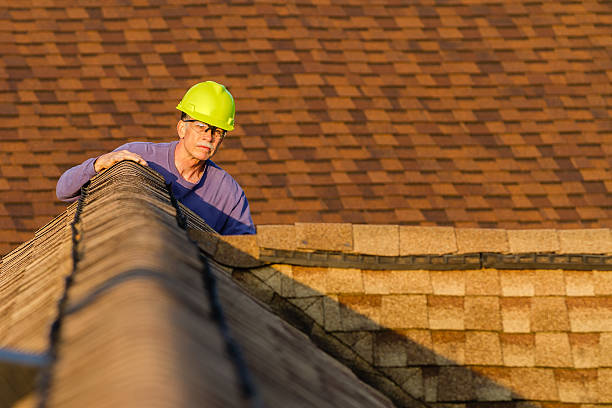Roof Gutter Cleaning in Apple Mountain Lake, VA
